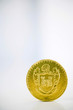 A coin