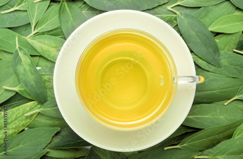 Photo: A cup of refreshing tea A cup of refreshing tea