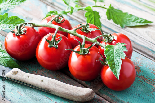 Photo: Tomaten Tomaten