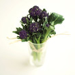 Purple long stem broccoli