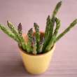 Asparagus put in a small pot