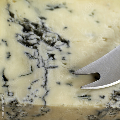 Photo: Gorgonzola cheese Gorgonzola cheese