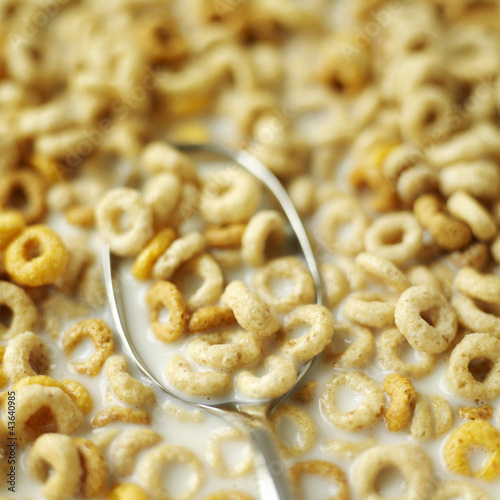 Photo: Breakfast cereal Breakfast cereal