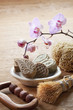 concept of beauty wellness