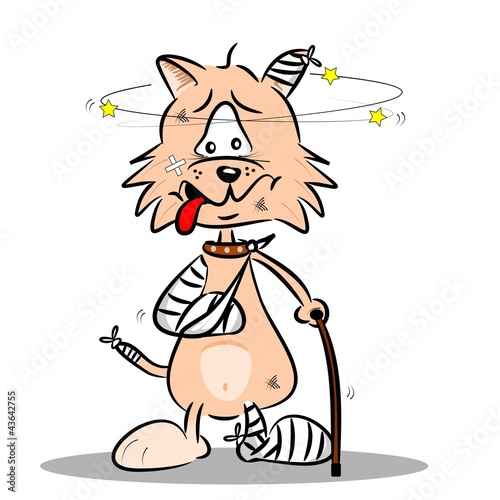 Vector: An injured cartoon cat with bandages plaster and walking stick An injured cartoon cat with bandages plaster and walking stick