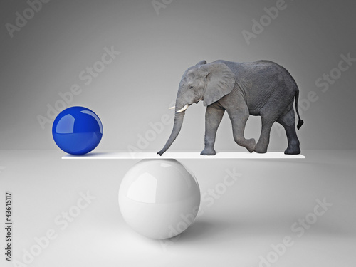 Photo: good balance good balance