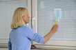 Frau wischt Staub von Fensterjalousien