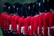 Royal Guardsmen