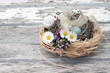 Ostern am Strand