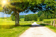 Foto: Sommertag in der Natur Sommertag in der Natur