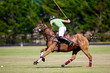 Photo: joueur de polo à cheval joueur de polo à cheval