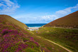 coastal path to chapel porth cornwall