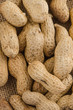 Peanuts