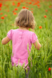 Foto: Little girl in poppy field Little girl in poppy field