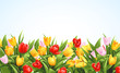 Flowers background