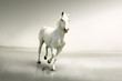 Photo: Beautiful white horse in motion Beautiful white horse in motion