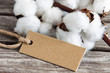 Baumwolle - Cotton