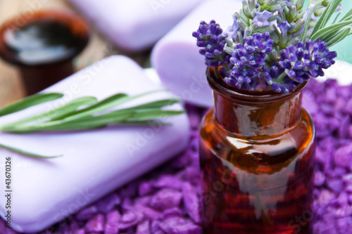 Photo: Lavendel Lavendel