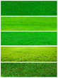 Photo: Grass collage Grass collage