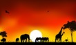 beautyful silhouette of animal wild life with sunset background