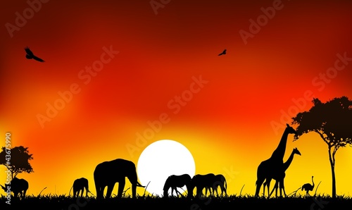 Vector: beautyful silhouette of animal wild life with sunset background beautyful silhouette of animal wild life with sunset background