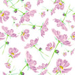 rose flower pattern cosmos