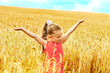 Foto: Child in summer wheat field. Child in summer wheat field.