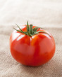 Ripe tomato and fresh
