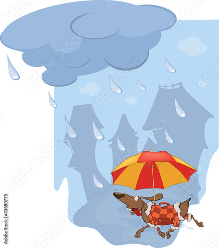 Vector: The rate and umbrella The rate and umbrella