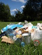 Dump in forest