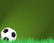 Football soccer on grass and abstract background