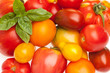 Fläche aus unterschiedlichen Tomatensorten