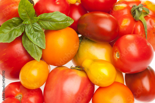 Foto: Fläche aus unterschiedlichen Tomatensorten Fläche aus unterschiedlichen Tomatensorten