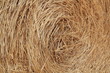 Foto: frische Heuballen frische Heuballen