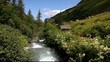 Video: woman walking along a rive in the Alps woman walking along a rive in the Alps