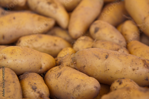 Photo: Kartoffeln Kartoffeln