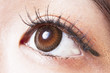 Female eye with brown contact lenses macro