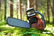 Kettensäge im Wald