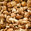 Photo: Edible mushrooms on the market Edible mushrooms on the market