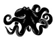 Big octopus
