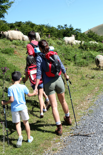 Photo: Family watching sheeps in the mountain while trekking Family watching sheeps in the mountain while trekking