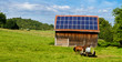Solarzellen in der Natur