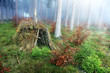 Photo: hut hut