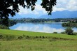 Bergsee mit Wiese