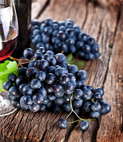 Photo: Grapes Grapes