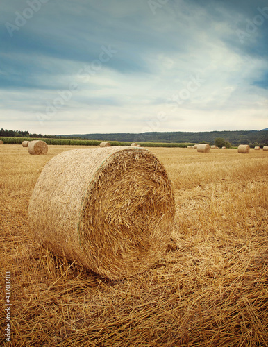 Foto: Round bales of straw Round bales of straw