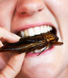 Enjoying a fried cockroach