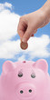Photo: Pig Money Box Pig Money Box