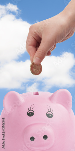 Photo: Pig Money Box Pig Money Box
