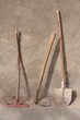 Primitive tools